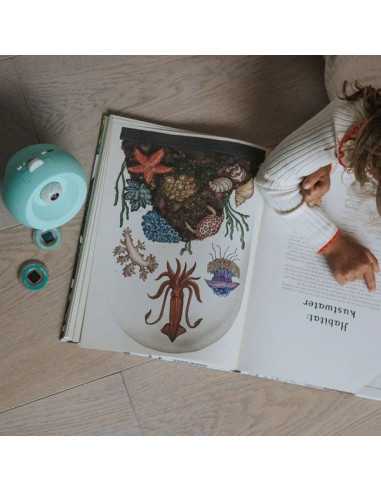 Projecteur d'images océans et mers... Projecteur d'images océans et mers...