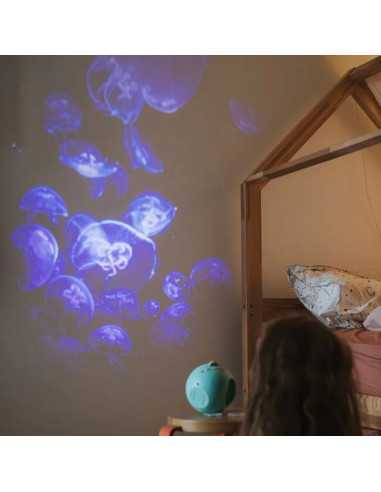 Projecteur d'images océans et mers... Projecteur d'images océans et mers...