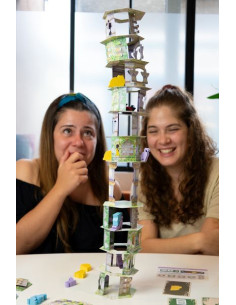 Jeu le chat et la tour 2