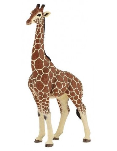 Figurine girafe mâle - Papo