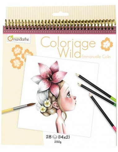 Carnet de coloriage collector -...