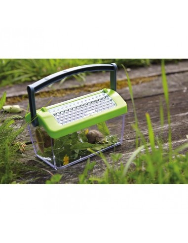 Boîte à insectes - Terra Kids Boîte à insectes - Terra Kids