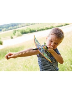 Fronde oiseau - Terra Kids 2