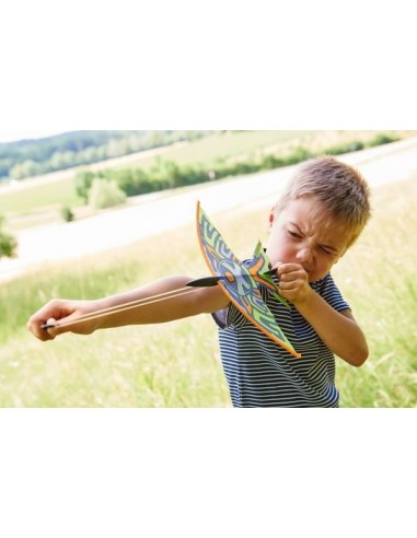 Fronde oiseau - Terra Kids Fronde oiseau - Terra Kids