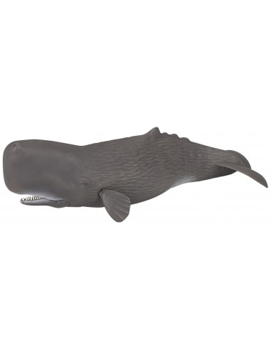 Figurine cachalot - Papo Figurine cachalot - Papo
