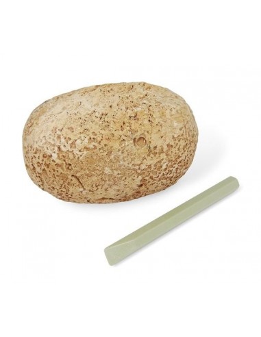 Oeuf dino à déterrer - Buki Oeuf dino à déterrer - Buki