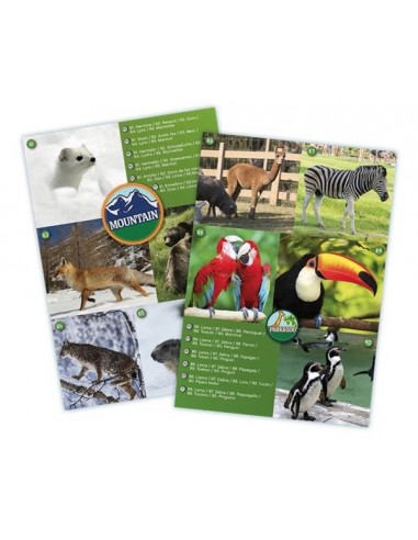 Maxi jumelles - Buki Maxi jumelles - Buki