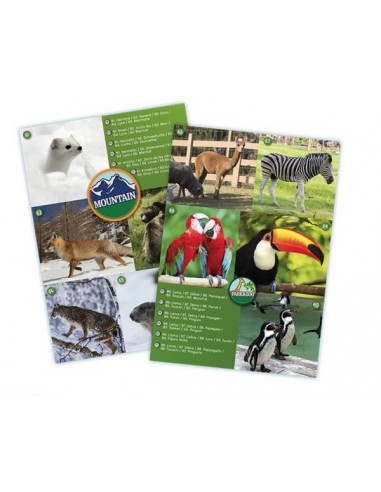 Maxi jumelles - Buki Maxi jumelles - Buki