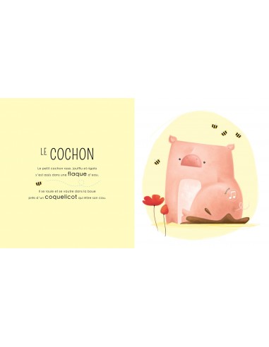 Livre sonore campagne - Sassi Livre sonore campagne - Sassi