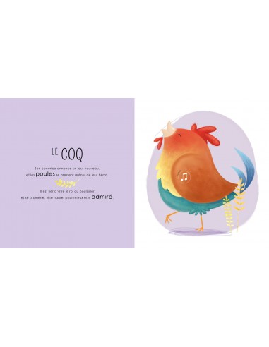 Livre sonore campagne - Sassi Livre sonore campagne - Sassi