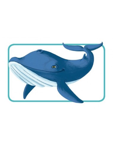 Jeu Concept kids animaux Jeu Concept kids animaux