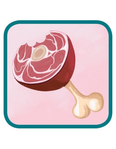 Jeu Concept kids animaux Jeu Concept kids animaux