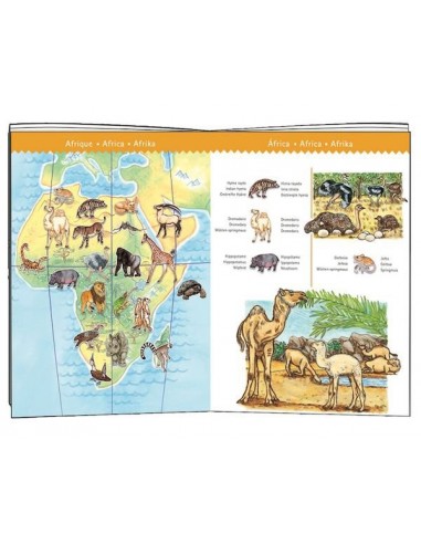 Puzzle d'observation animaux du monde... Puzzle d'observation animaux du monde...