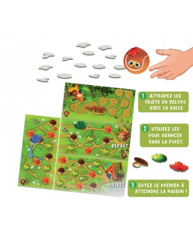 Le hérisson qui roule à pic ! - Gigamic Le hérisson qui roule à pic ! - Gigamic