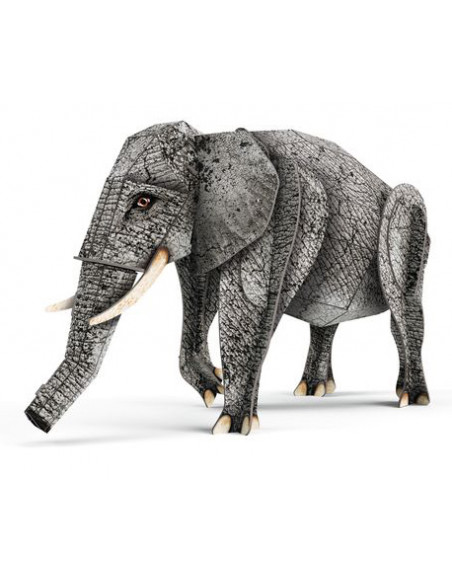 Livre Et Maquette 3d Elephant La Jungle Sassi Livre Et Maquette 3d Elephant La Jungle Sassi