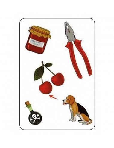 Jeu TamTam safari CE1 Jeu TamTam safari CE1