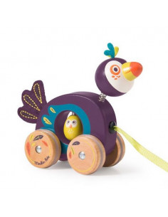 Petit toucan à tirer Dans la jungle