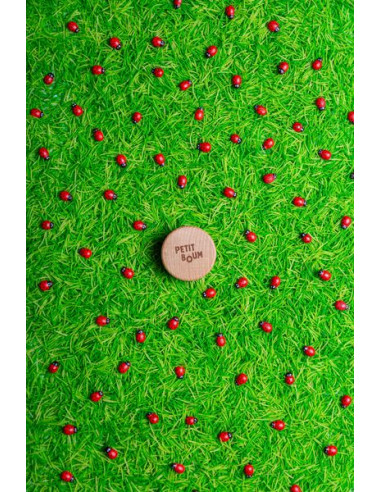 Bouteille sensorielle coccinelles -... Bouteille sensorielle coccinelles -...