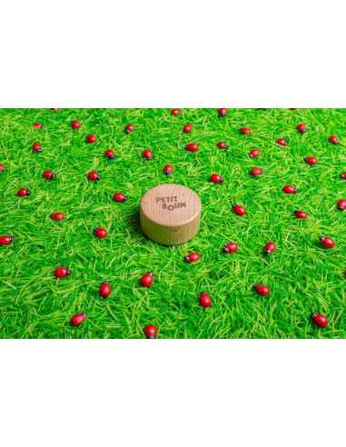 Bouteille sensorielle coccinelles -... Bouteille sensorielle coccinelles -...