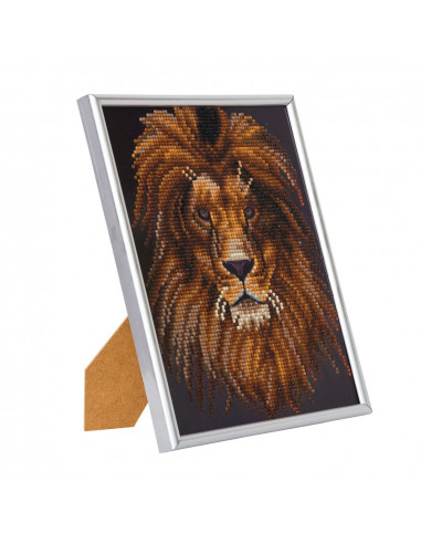 ParNarZar Kit de peinture diamant tête de lion cicatrice 30 x 40 cm pour débutants
