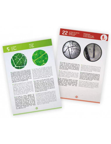 Microscope vidéo 3 en 1 - Buki Microscope vidéo 3 en 1 - Buki