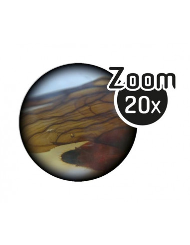 Microscope stereo 3D - Buki Microscope stereo 3D - Buki