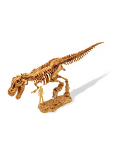 Kit de fouille tyrannosaure... 2