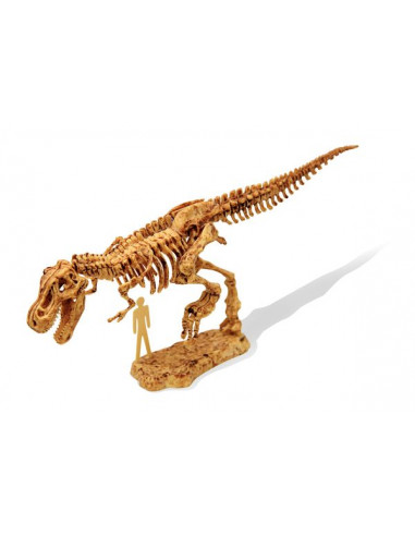 Kit de fouille tyrannosaure - Buki Kit de fouille tyrannosaure - Buki