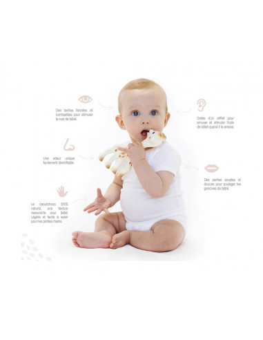 Sophie la girafe Sophie la girafe