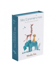 Cartes Mes 12 premiers mois...