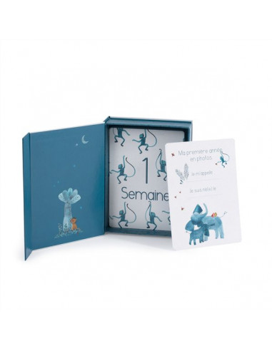 Cartes Mes 12 premiers mois Sous mon... Cartes Mes 12 premiers mois Sous mon...