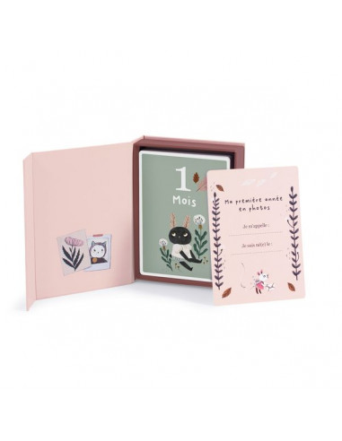 Cartes Mes 12 premiers mois Après la... Cartes Mes 12 premiers mois Après la...
