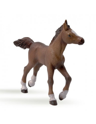 Figurine poulain anglo arabe - Papo Figurine poulain anglo arabe - Papo