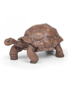 Figurine tortue des... 2