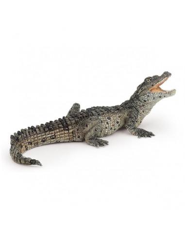 Figurine bébé crocodile - Papo