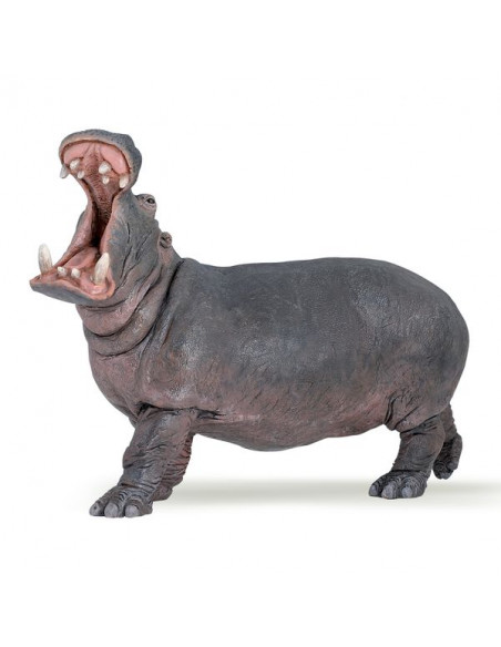 Figurine hippopotame - Papo