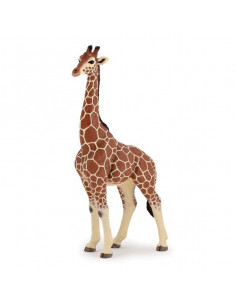 Figurine girafe mâle - Papo 2