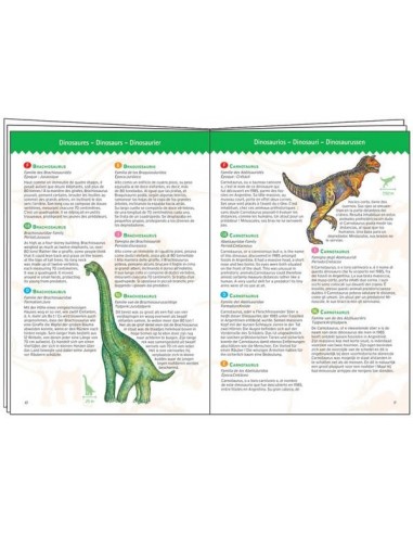 Puzzle d'observation Dinosaures et... Puzzle d'observation Dinosaures et...