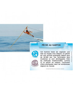 Bioviva Planète Mers et... 2