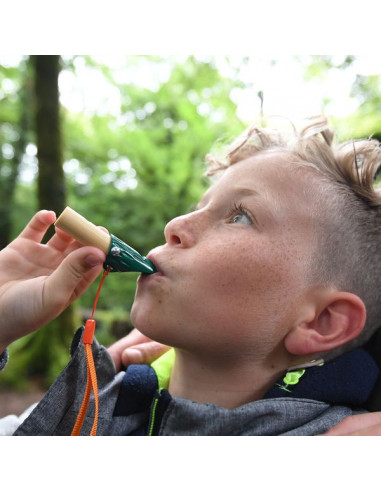 Kit de détective de la nature - Hape Kit de détective de la nature - Hape