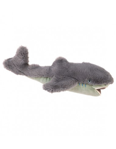 Petit requin Tout autour du monde -...