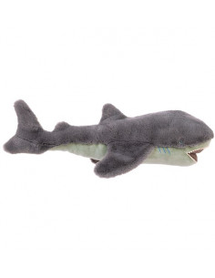 Grand requin Tout autour du...