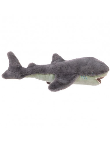 Grand requin Tout autour du monde -...