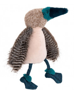 Oiseau fou à pieds bleus...