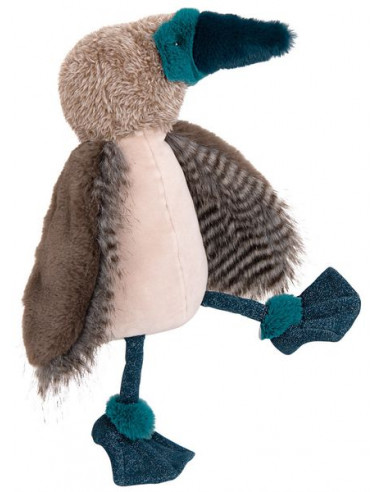 Oiseau fou à pieds bleus Tout autour... Oiseau fou à pieds bleus Tout autour...