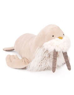 Grand morse Tout autour du...