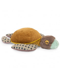 Petite tortue Tout autour...