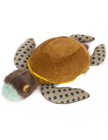 Petite tortue Tout autour du monde -... Petite tortue Tout autour du monde -...