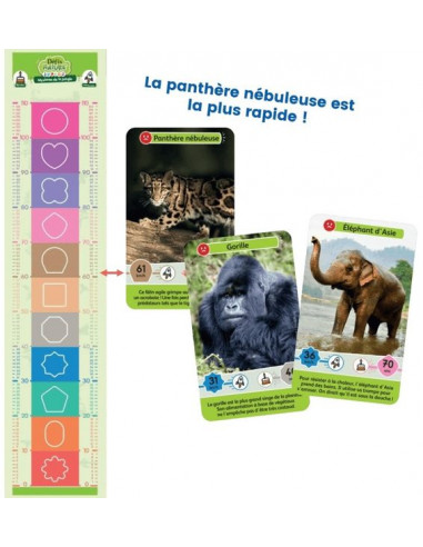 Défis nature junior Mystères de la... Défis nature junior Mystères de la...