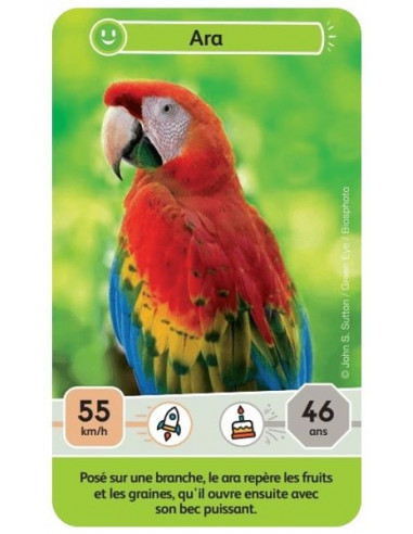 Défis nature junior Mystères de la... Défis nature junior Mystères de la...